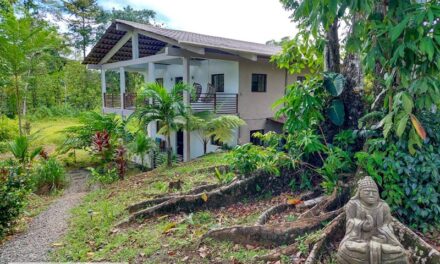Sustainable Living in Bocas del Toro